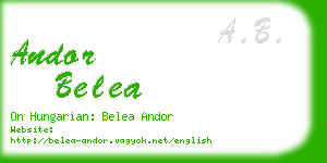 andor belea business card